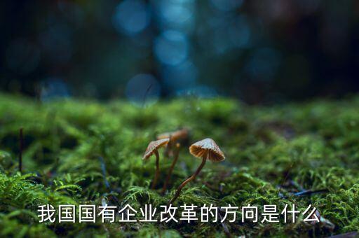 企業(yè)改革方向是什么，我國國有企業(yè)改革的方向是什么