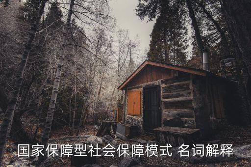 保障型保險(xiǎn)什么意思，國家保障型社會(huì)保障模式 名詞解釋