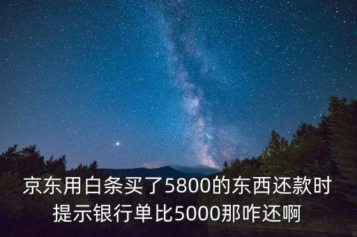 京東用白條買(mǎi)了5800的東西還款時(shí)提示銀行單比5000那咋還啊