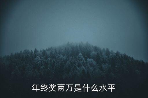 年終獎(jiǎng)10000什么水平，月薪1700年終獎(jiǎng)一萬(wàn)算什么水平