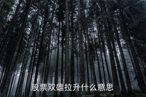 石化雙雄漲停意味著什么，股票雙雄拉升什么意思
