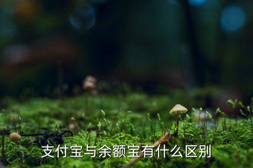 支付寶錢包跟余額寶有什么區(qū)別，支付寶錢包賬戶余額跟余額寶有什么不同