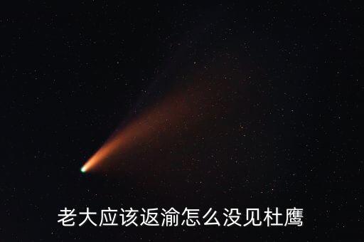 張曉強杜鷹為什么，發(fā)改委副主任杜鷹是誰的孩子