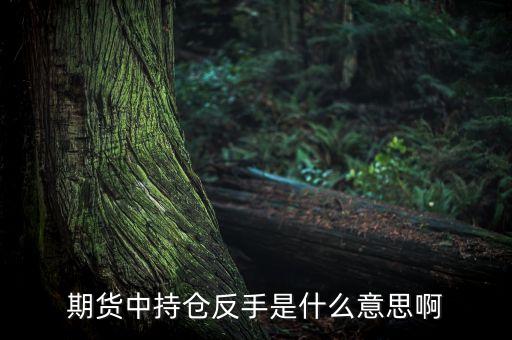 期貨中的反手什么意思，期貨中持倉反手是什么意思啊