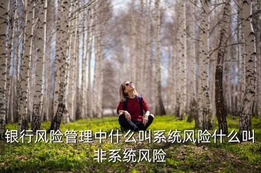 不發(fā)生系統(tǒng)性什么意思，銀行風險管理中什么叫系統(tǒng)風險什么叫非系統(tǒng)風險