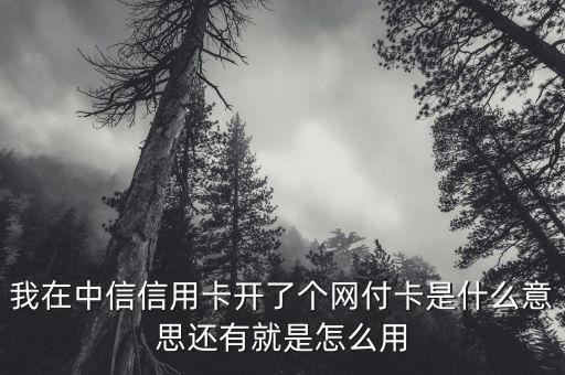 中信銀行網(wǎng)付卡是什么，中信銀行信用卡網(wǎng)付卡