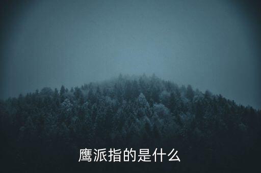 美聯(lián)儲(chǔ)鷹派是什么意思，美國(guó)政壇里的鷹派是什么意思