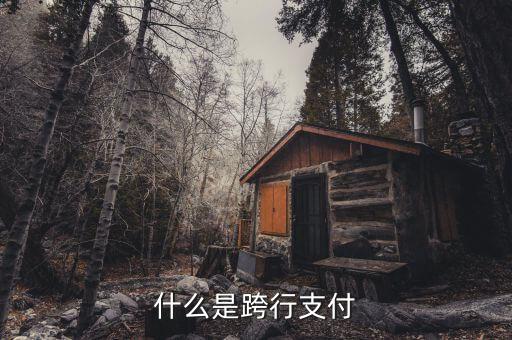 什么是跨行清算，什么叫跨行