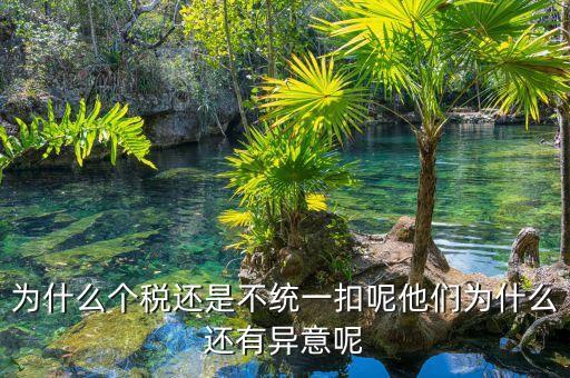個(gè)稅為什么盲區(qū)，為什么個(gè)稅還是不統(tǒng)一扣呢他們?yōu)槭裁催€有異意呢