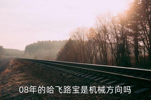 哈飛集團(tuán)用什么專業(yè)，08年的哈飛路寶是機(jī)械方向嗎
