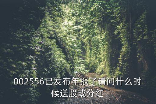 深圳能源什么時候送股，深圳能源什么時候送股