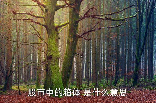股市箱體是什么，股票的箱體指什么