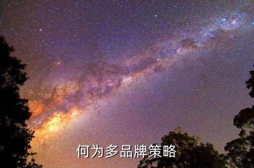 什么是多策略，何為多品牌策略