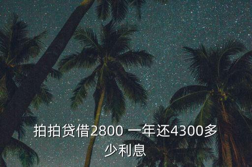 什么是拍拍貸，拍拍貸借2800 一年還4300多少利息