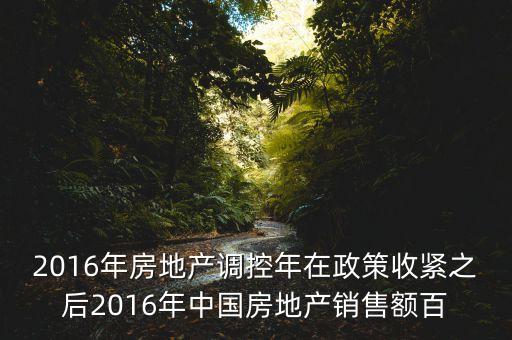 2016房市下一步還能出什么政策，2016年房地產(chǎn)調控年在政策收緊之后2016年中國房地產(chǎn)銷售額百