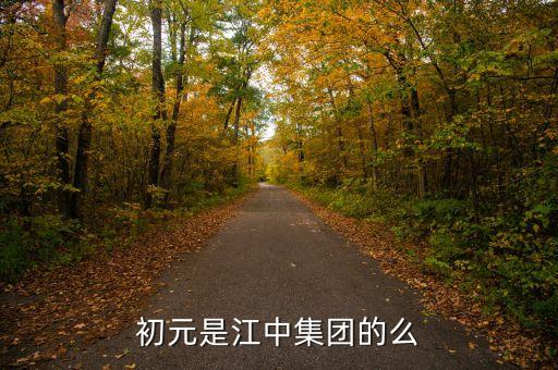 江中集團(tuán)有什么保健品，初元是江中集團(tuán)的么