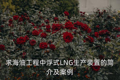 什么是浮式lng項目，什么是浮式LNG