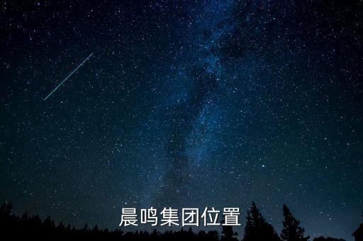 壽光造紙廢固是什么，晨鳴集團位置
