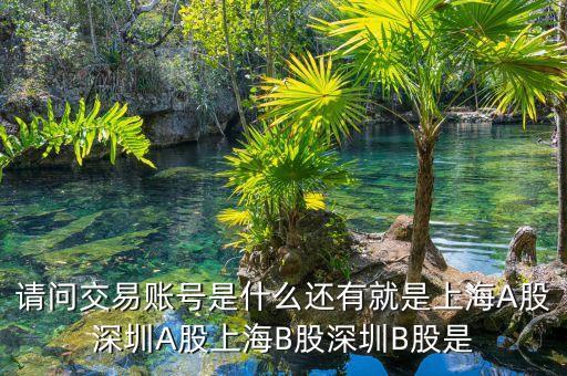 股東賬號是什么，請問交易賬號是什么還有就是上海A股深圳A股上海B股深圳B股是