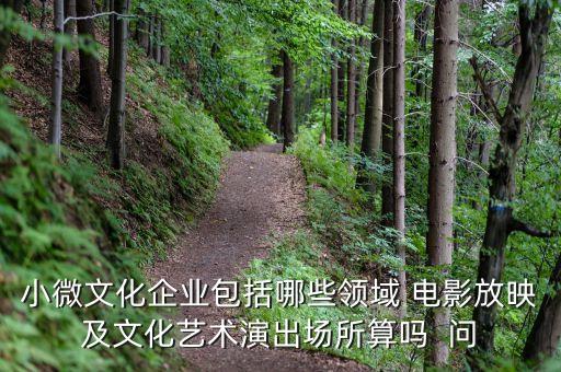 小微文化企業(yè)具體指什么，小微文化企業(yè)包括哪些領(lǐng)域 電影放映及文化藝術(shù)演出場所算嗎  問