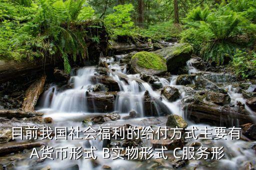 我國是什么福利型模式，目前我國社會福利的給付方式主要有 A貨幣形式 B實(shí)物形式 C服務(wù)形