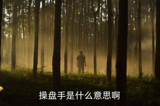 股票里操盤手聯(lián)盟是什么意思，有哪位高人可以給我詳細(xì)解釋下操盤手是什么意思