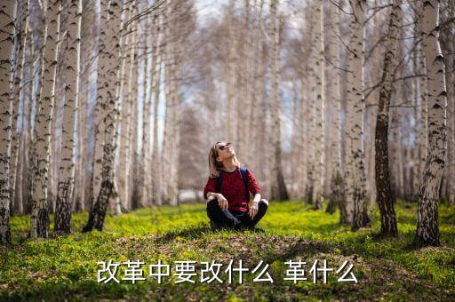 你認(rèn)為我國(guó)改革的重心應(yīng)是什么改，我國(guó)改革的任務(wù)決定了改革應(yīng)是 A 經(jīng)濟(jì)體制的改革 B 政治體制的改革