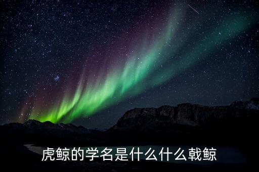折戟鯨是什么，虎鯨的學(xué)名是什么什么戟鯨
