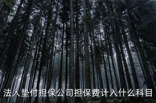 什么是法人墊款，法人代墊款的分錄需有什么附件嗎
