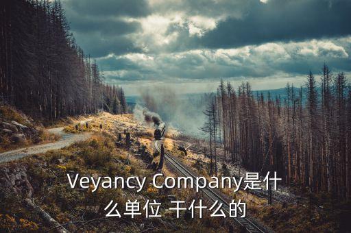 時(shí)代沃頓科技有限公司是什么單位，Veyancy Company是什么單位 干什么的