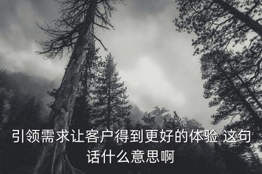 什么是引領需求，引領需求讓客戶得到更好的體驗 這句話什么意思啊