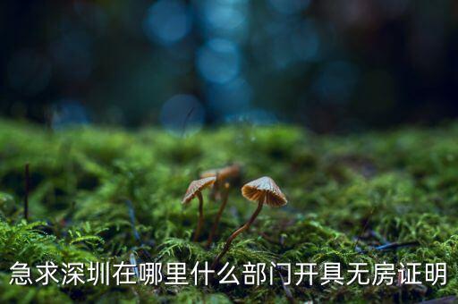 坪山國土局在什么地方，深圳哪座山比較有趣