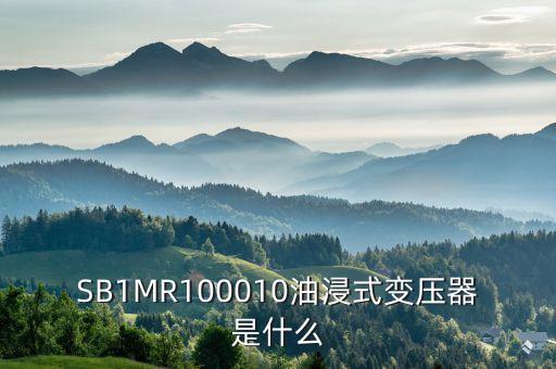 油浸式變壓器什么是酚推，SB1MR100010油浸式變壓器是什么