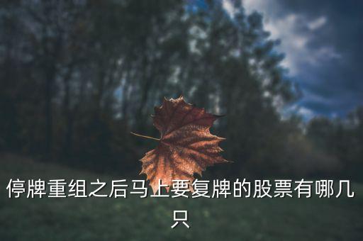 002306什么時候復(fù)牌，停牌重組之后馬上要復(fù)牌的股票有哪幾只