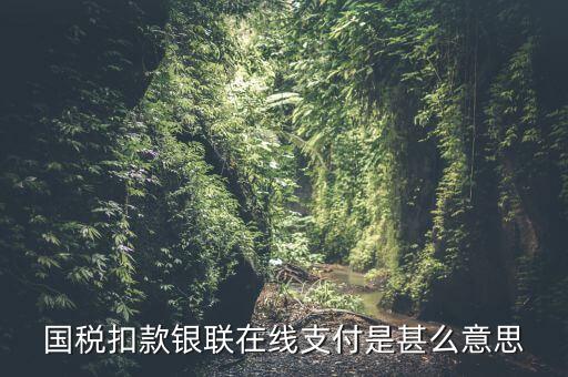 銀聯(lián)劃扣跟連連支付有什么區(qū)別，國(guó)稅扣款銀聯(lián)在線支付是甚么意思