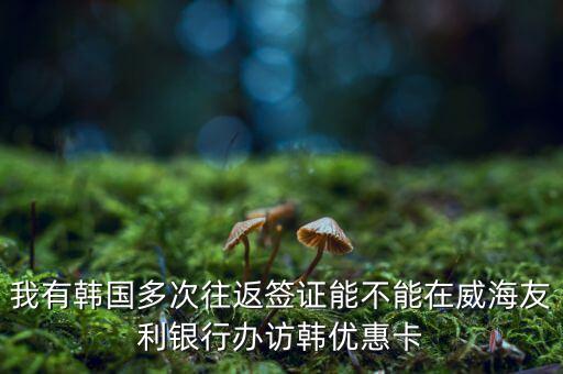 訪韓優(yōu)惠卡有什么作用，我有韓國(guó)多次往返簽證能不能在威海友利銀行辦訪韓優(yōu)惠卡