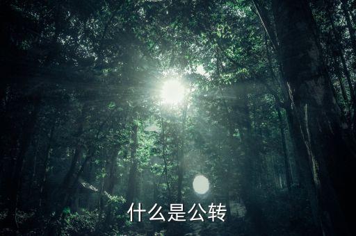 公轉(zhuǎn)書是什么，什么是公轉(zhuǎn)