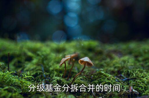 基金什么時(shí)候拆分，基金一般在什么時(shí)候拆分或分紅