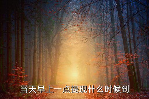 海納幣什么時(shí)候提現(xiàn)，你們那里說什么時(shí)候可以提現(xiàn)嗎
