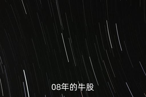 08年的牛股