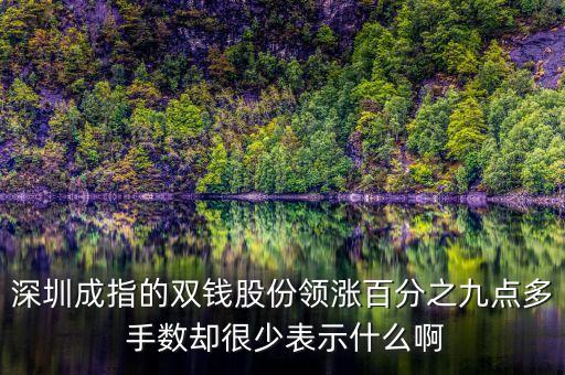 雙錢股份是什么公司，深圳成指的雙錢股份領(lǐng)漲百分之九點多 手數(shù)卻很少表示什么啊