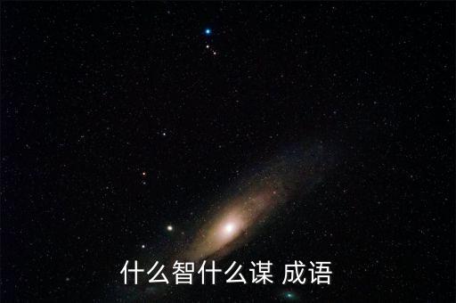 什么智什么謀 成語(yǔ)