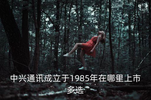 中興第一代手機什么時間上市，中興 Grand X IN 什么時候上市