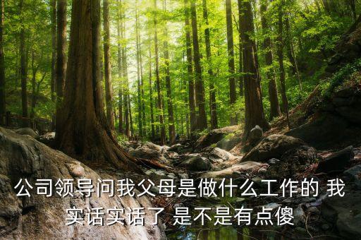 公司問父母是做什么的，公司領(lǐng)導(dǎo)問我父母是做什么工作的 我實話實話了 是不是有點傻