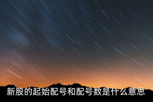 新股申購起始配號是什么意思，新股起始配號是什么意思配號21是什么意思