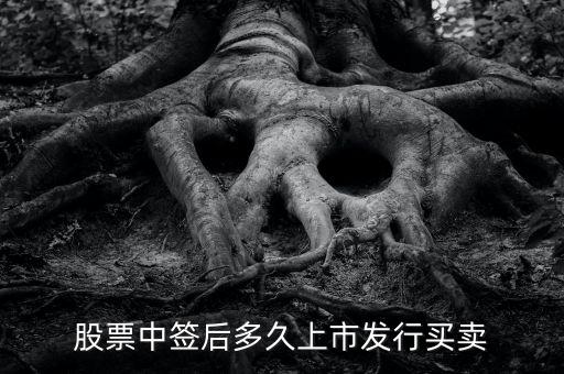 300512什么時候上市交易，股票中簽后多久上市發(fā)行買賣