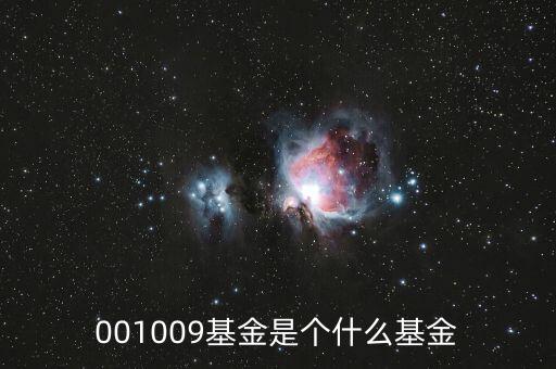 001009是什么基金，001009基金凈值查詢今天
