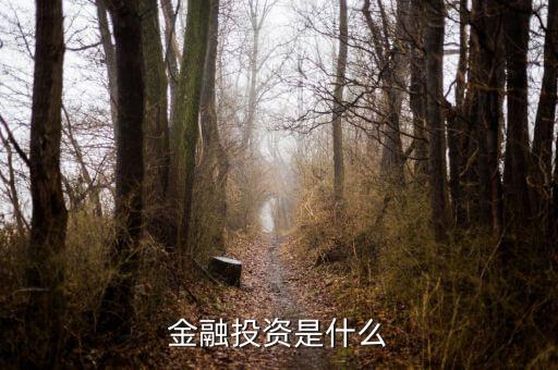 保險公司金融投資是做什么的，保險公司理財公司是干什么的