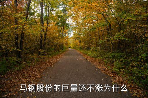馬鋼集團(tuán)為什么還不倒，馬鋼集團(tuán)為什么沒(méi)排在世界500強(qiáng)中