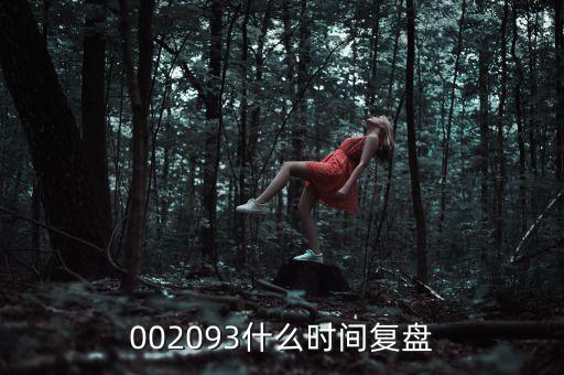 002093什么時間復盤